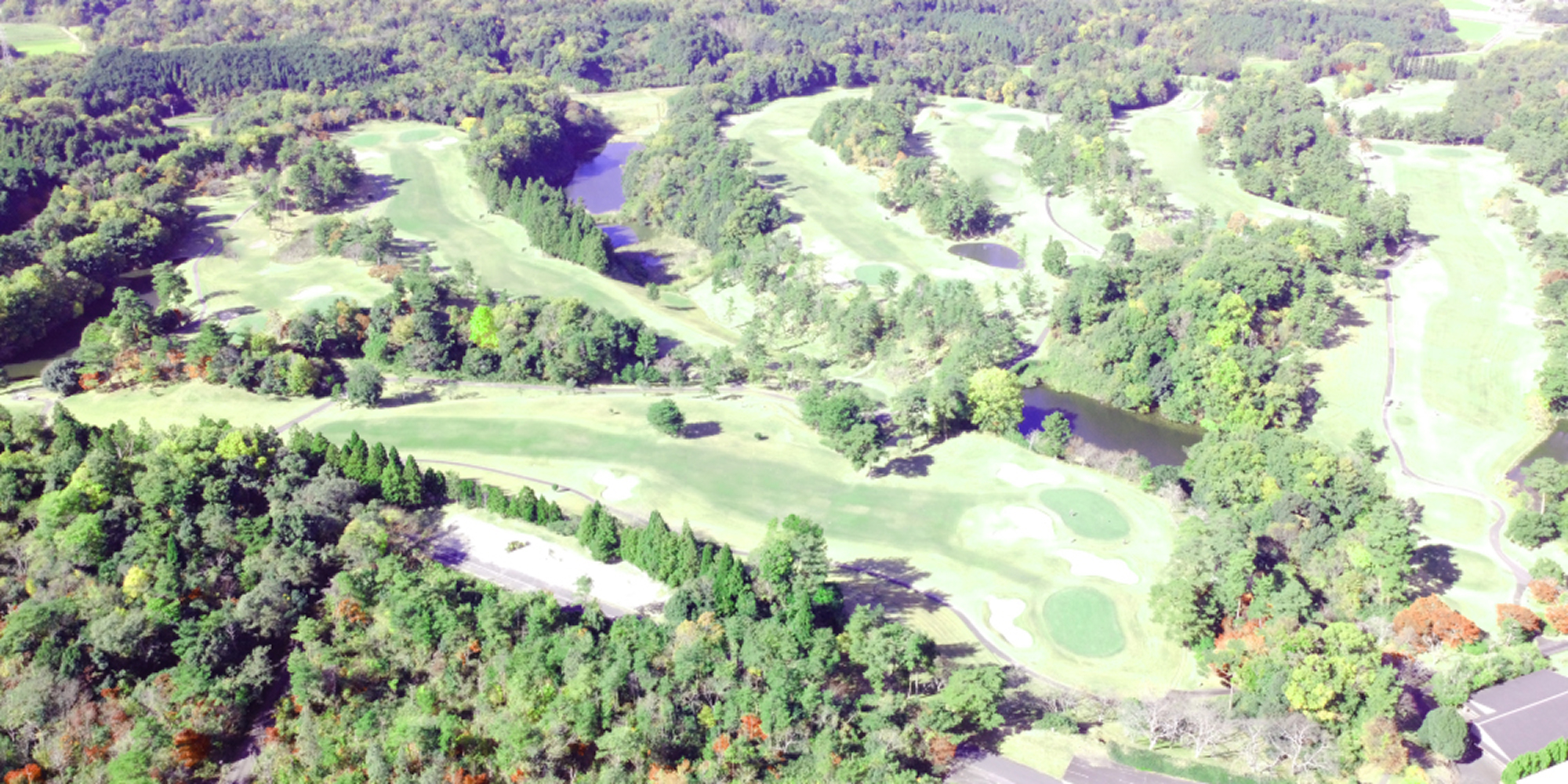 初めての観戦ガイド