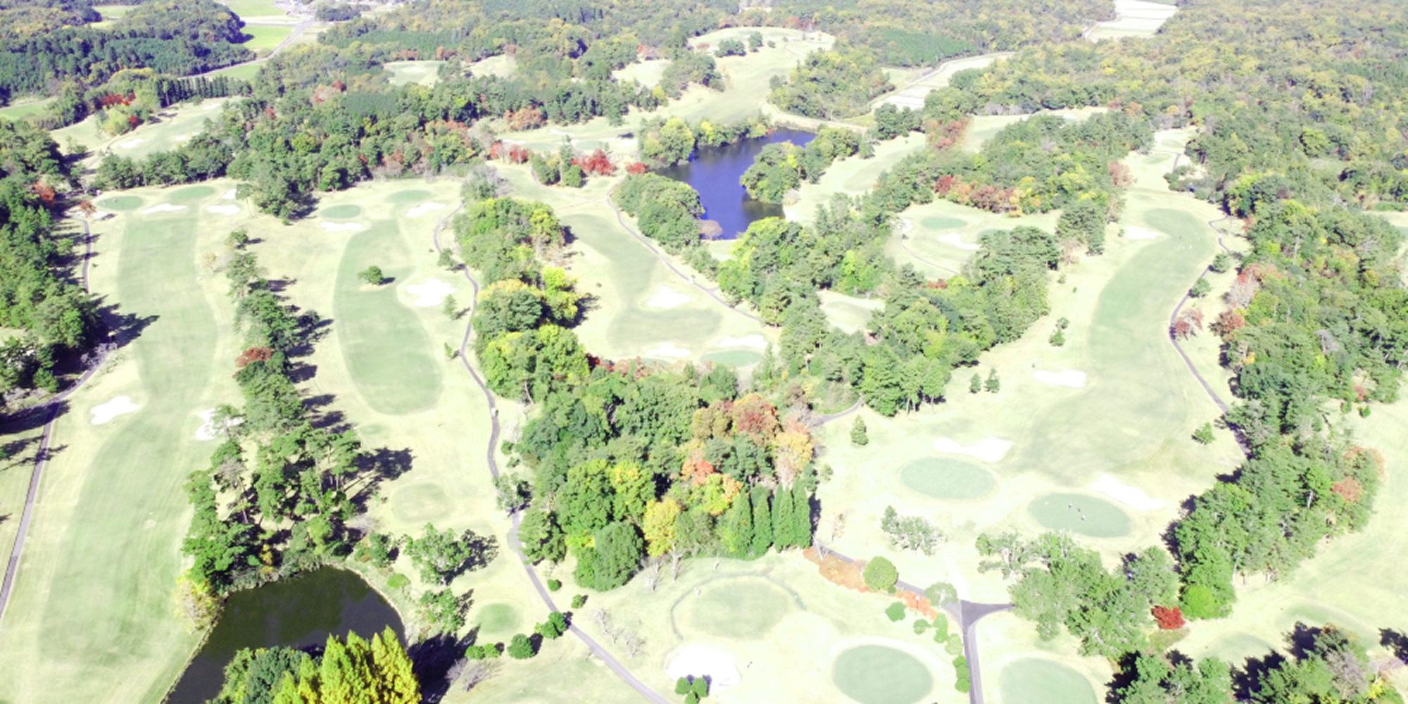 初めての観戦ガイド